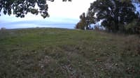The field cam, Oct 12, 2023 at 10:19am