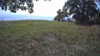 The field cam, Oct 12, 2023 at 10:42am