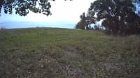 The field cam, Oct 12, 2023 at 10:51am