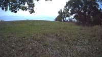 The field cam, Oct 12, 2023 at 10:52am