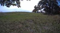 The field cam, Oct 12, 2023 at 11:04am