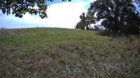 The field cam, Oct 12, 2023 at 11:15am