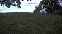 The field cam, Oct 15, 2023 at 9:07am