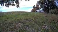 The field cam, Oct 15, 2023 at 9:21am
