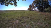 The field cam, Oct 15, 2023 at 9:54am