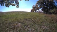 The field cam, Oct 15, 2023 at 9:59am