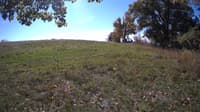 The field cam, Oct 15, 2023 at 9:59am