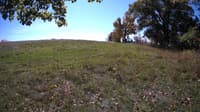 The field cam, Oct 15, 2023 at 10:21am