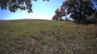 The field cam, Oct 15, 2023 at 10:27am
