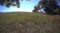 The field cam, Oct 15, 2023 at 10:29am