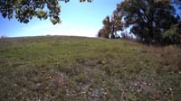 The field cam, Oct 15, 2023 at 10:29am