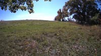 The field cam, Oct 15, 2023 at 10:33am