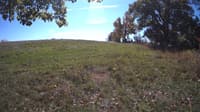 The field cam, Oct 15, 2023 at 10:46am