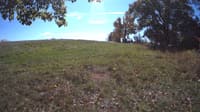 The field cam, Oct 15, 2023 at 10:51am