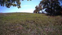 The field cam, Oct 15, 2023 at 10:57am