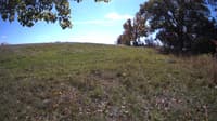 The field cam, Oct 15, 2023 at 10:59am
