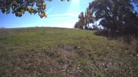 The field cam, Oct 15, 2023 at 11:24am