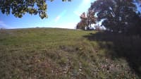 The field cam, Oct 15, 2023 at 11:56am