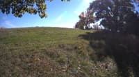 The field cam, Oct 15, 2023 at 12:03pm