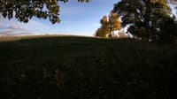 The field cam, Oct 15, 2023 at 3:27pm