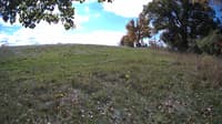The field cam, Oct 16, 2023 at 9:46am