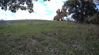 The field cam, Oct 16, 2023 at 9:52am