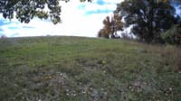 The field cam, Oct 16, 2023 at 9:59am