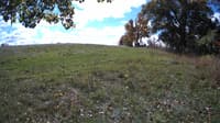 The field cam, Oct 16, 2023 at 10:27am