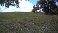 The field cam, Oct 16, 2023 at 10:34am