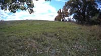 The field cam, Oct 16, 2023 at 10:36am