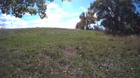 The field cam, Oct 16, 2023 at 10:45am