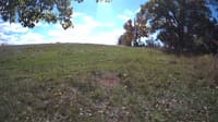 The field cam, Oct 16, 2023 at 10:46am