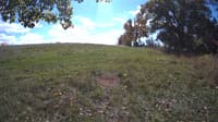 The field cam, Oct 16, 2023 at 10:47am