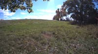 The field cam, Oct 16, 2023 at 11:11am