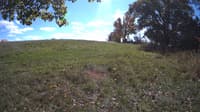 The field cam, Oct 16, 2023 at 11:13am