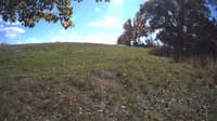 The field cam, Oct 16, 2023 at 11:19am