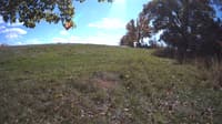 The field cam, Oct 16, 2023 at 11:19am