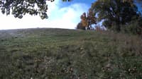 The field cam, Oct 17, 2023 at 8:06am