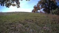 The field cam, Oct 17, 2023 at 9:24am