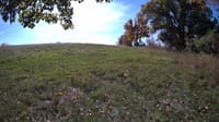 The field cam, Oct 17, 2023 at 9:39am