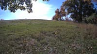 The field cam, Oct 17, 2023 at 9:43am