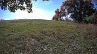 The field cam, Oct 17, 2023 at 9:51am