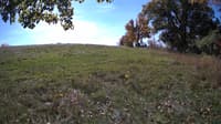 The field cam, Oct 17, 2023 at 9:52am