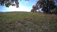 The field cam, Oct 17, 2023 at 9:53am