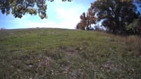 The field cam, Oct 17, 2023 at 10:15am