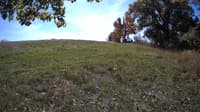 The field cam, Oct 17, 2023 at 10:19am