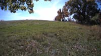 The field cam, Oct 17, 2023 at 10:21am