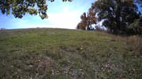 The field cam, Oct 17, 2023 at 10:25am