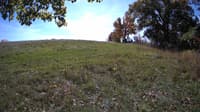 The field cam, Oct 17, 2023 at 10:27am