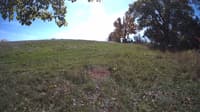 The field cam, Oct 17, 2023 at 10:49am